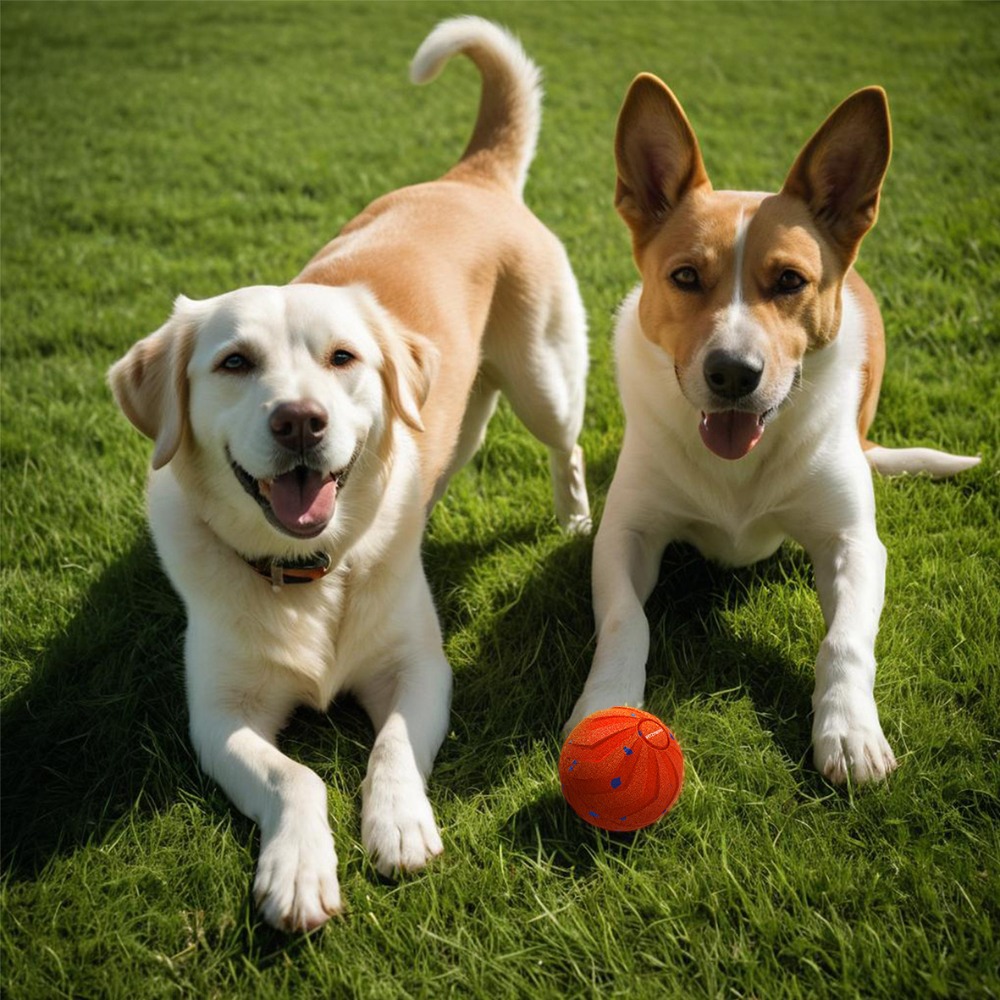 Bite Resistant Smart Dog Ball  - огляд і ціна Automatic Moving Dog Ball