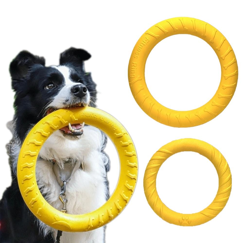 Puppy Outdoor Play Toy Set EVA - огляд і ціна Flying Disc Dog Training Toy