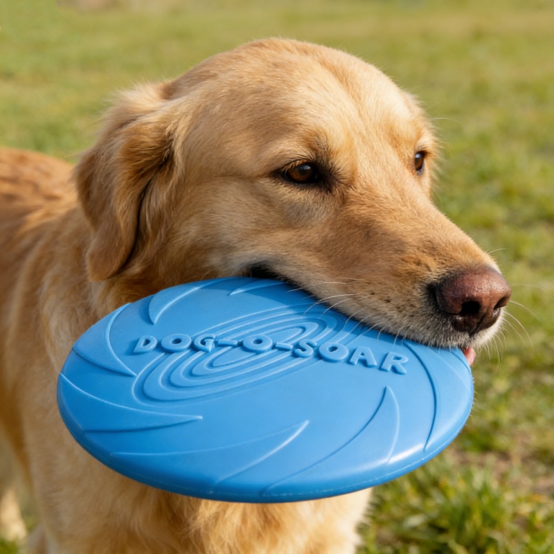 Chew Resistant Silicone Flying - огляд і ціна Flying Disc Dog Training Toy